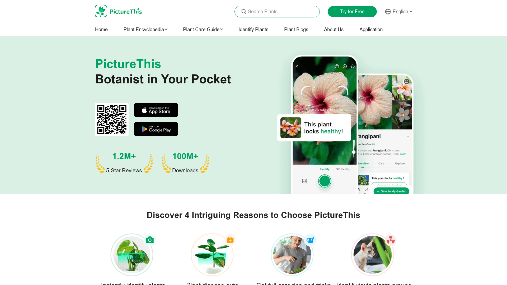 Interface PictureThis, Seu Botânico Pessoal no Bolso, exibindo funcionalidades
